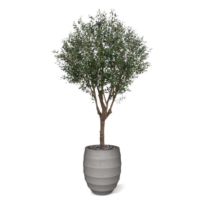 Olijf Kunstboom XL 250cm Deluxe - NOVA LIGNUM
