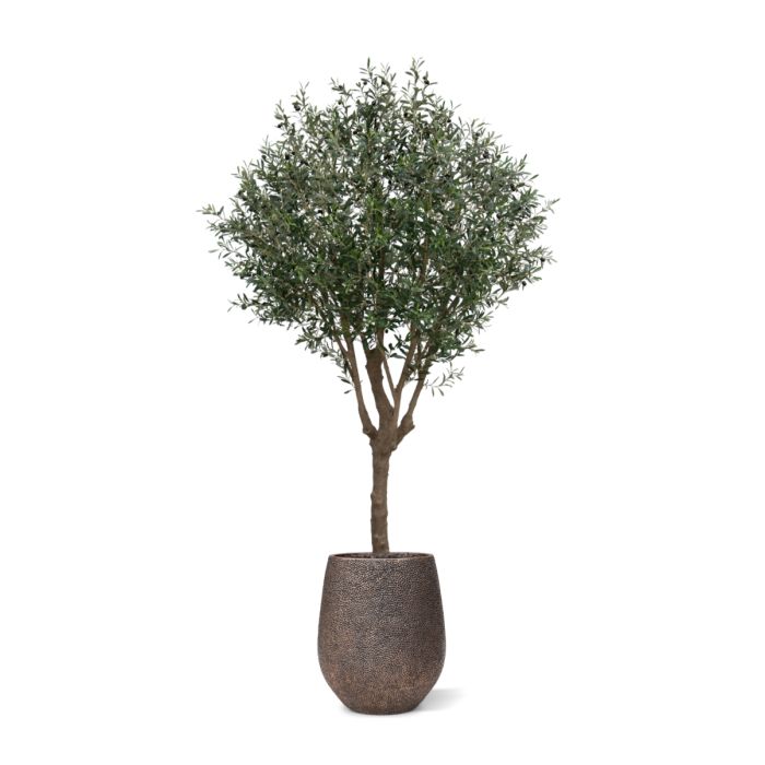 Olijf Kunstboom XL 250cm Deluxe - NOVA LIGNUM