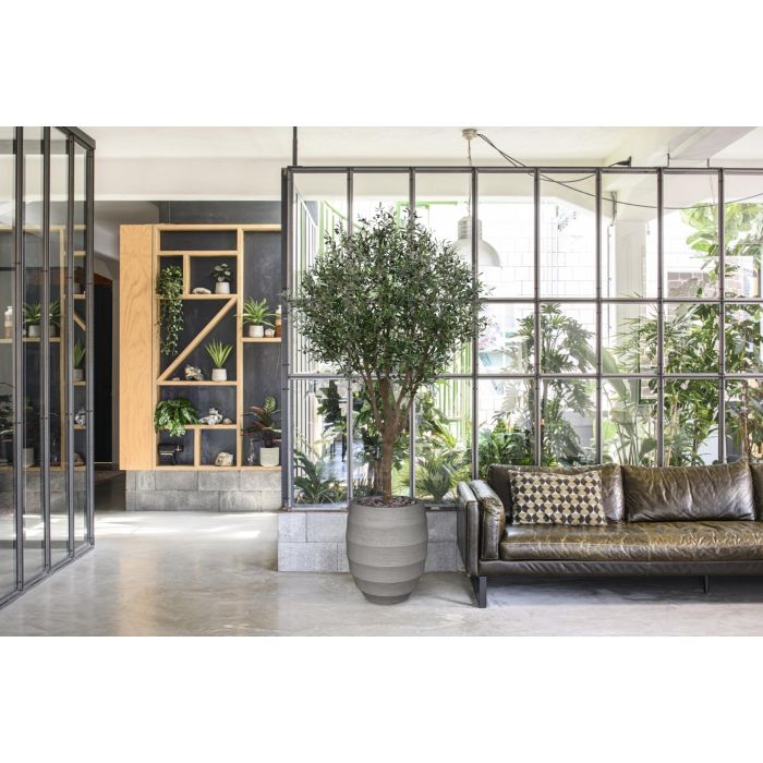 Olijf Kunstboom XL 250cm Deluxe - NOVA LIGNUM