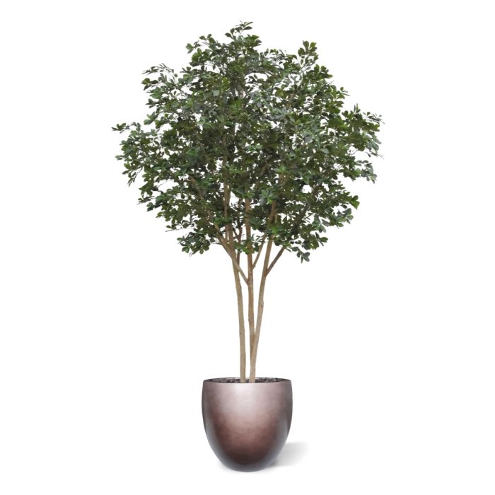 Oriental Olijf Kunstboom Deluxe 310cm - NOVA LIGNUM