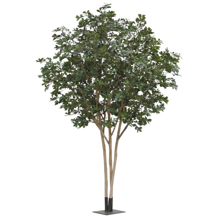 Oriental Olijf Kunstboom Deluxe 310cm - NOVA LIGNUM