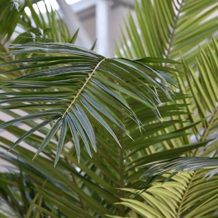 Phoenix Canarie kunstpalm XXL op voet 300cm - NOVA LIGNUM