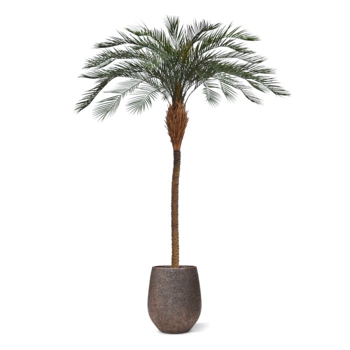 Phoenix kunstpalm deluxe OD 300cm - afbeelding 7