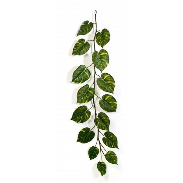Pothos Giant Garland - NOVA LIGNUM