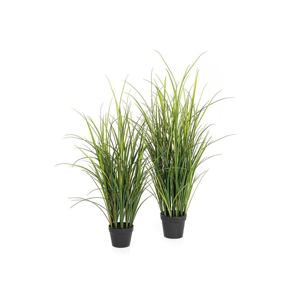 Reed Grass 120 cm - UV - NOVA LIGNUM