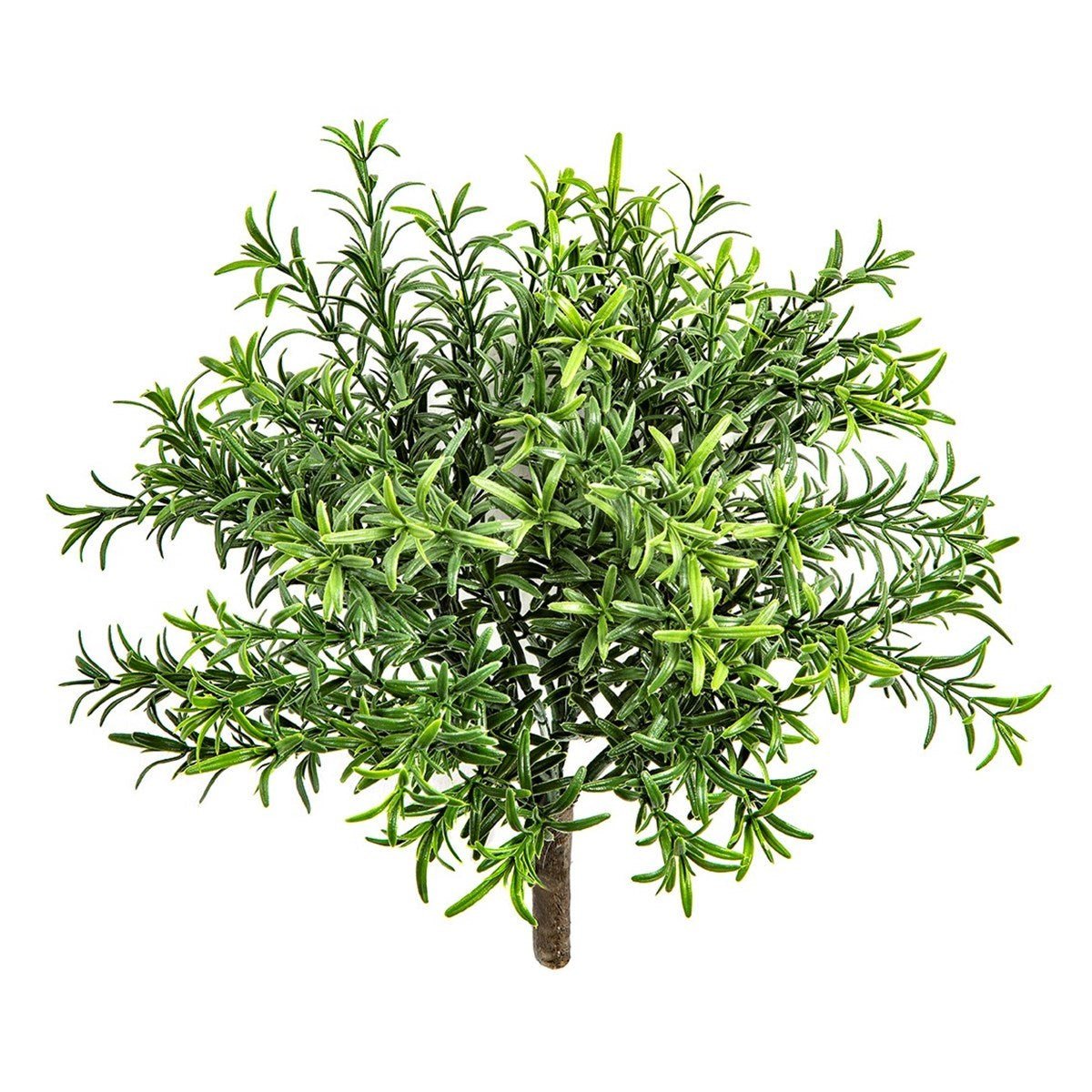 Rosemary Bush - UV - NOVA LIGNUM