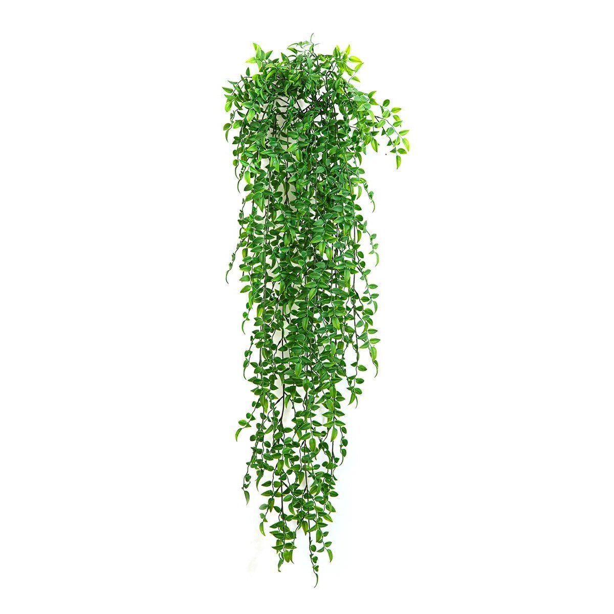Ruscus Hanging Bush x 14 -UV - NOVA LIGNUM