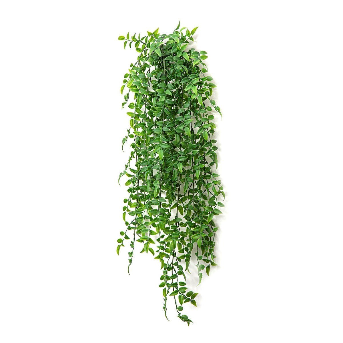 Ruscus Hanging Bush x 8 -UV - NOVA LIGNUM