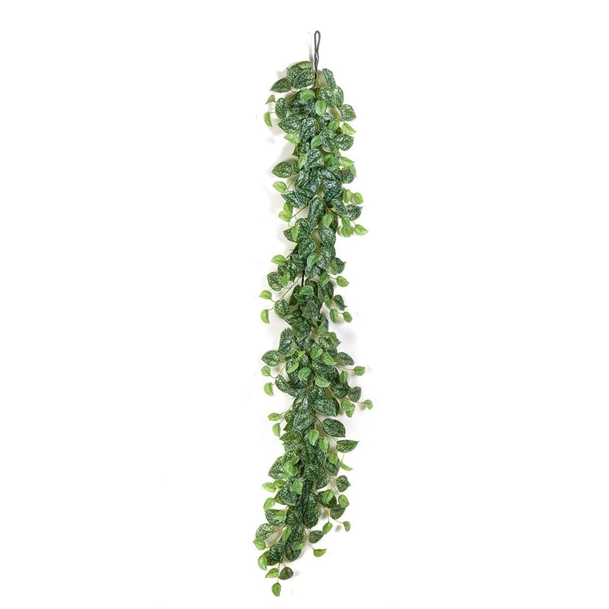 Scindapsus Garland - NOVA LIGNUM
