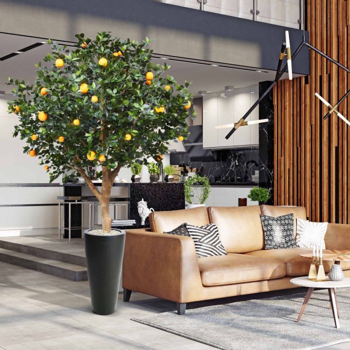 Sinaasappel deluxe Giant kunstboom 275cm - NOVA LIGNUM