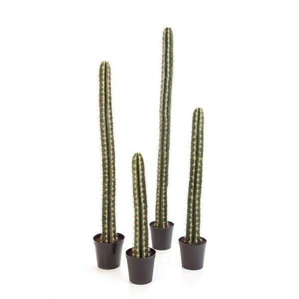 SINGLE COLUMN CACTUS 206 CM W/POT - NOVA LIGNUM
