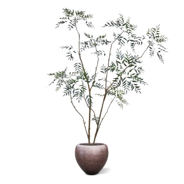 Sorbaria sorbifolia Kunstboom 220cm - afbeelding 7