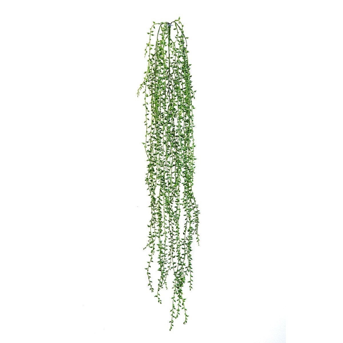 STRING OF SMALL PEARLS - NOVA LIGNUM