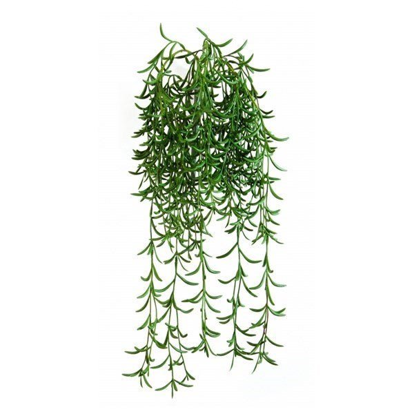 Succulent Hanging Bush - NOVA LIGNUM