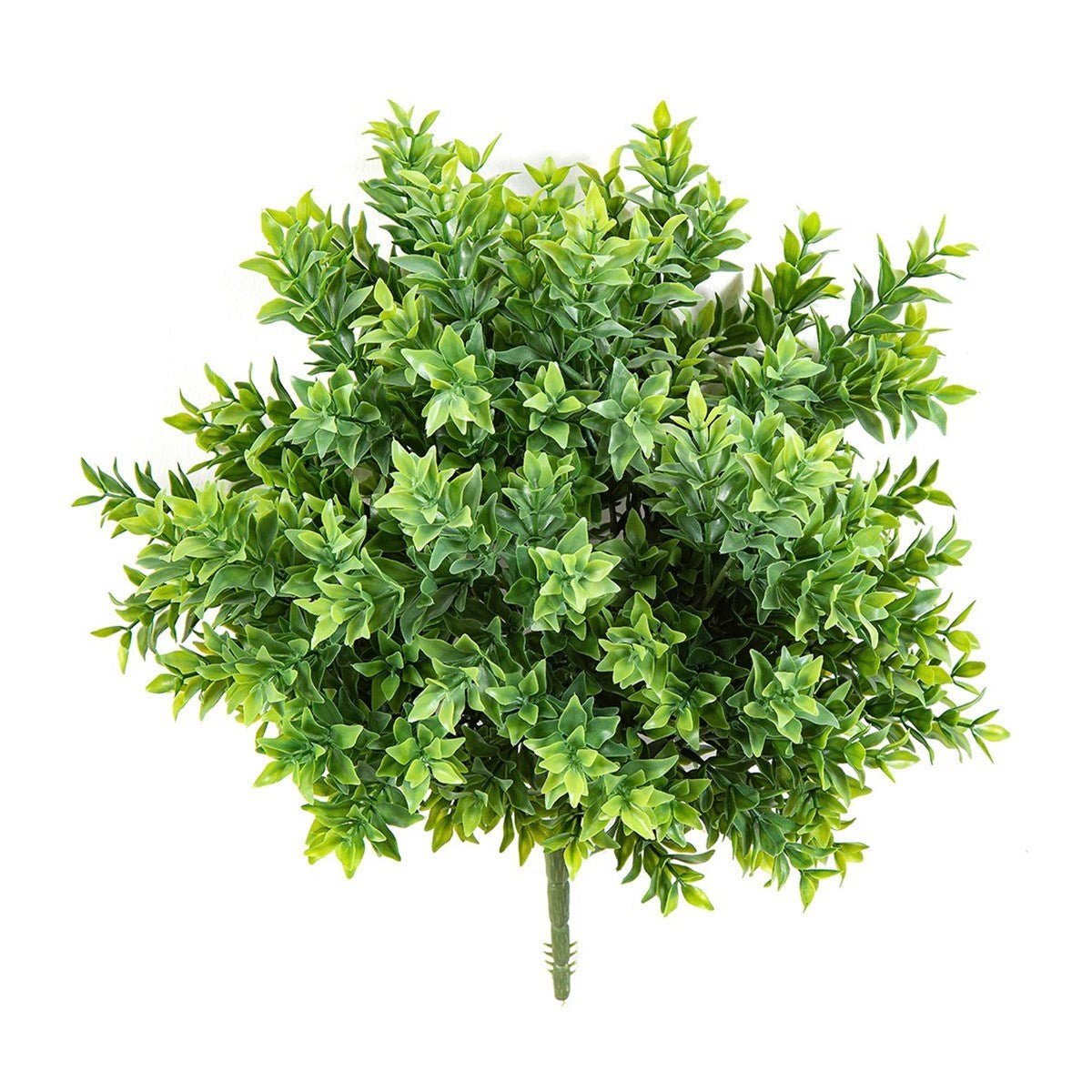 Tea Leaf Bush UV - NOVA LIGNUM