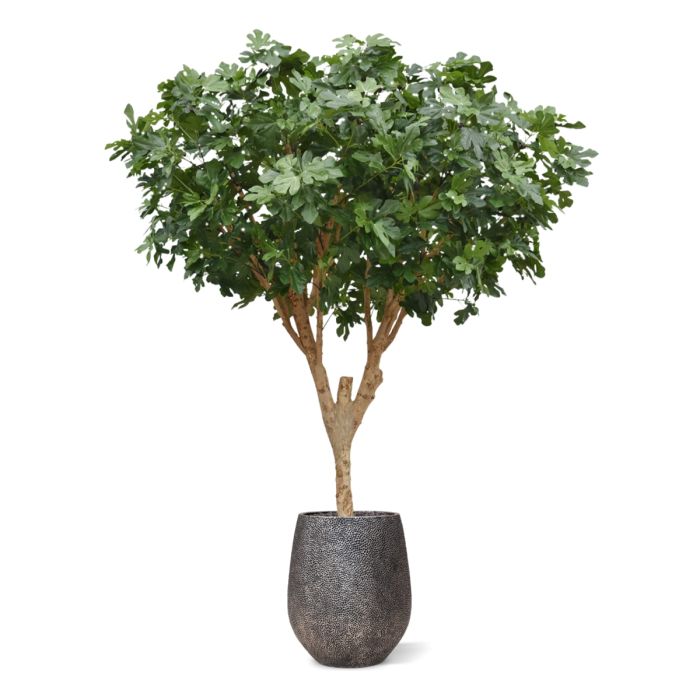 Vijgen Kunstboom Deluxe 250cm - NOVA LIGNUM