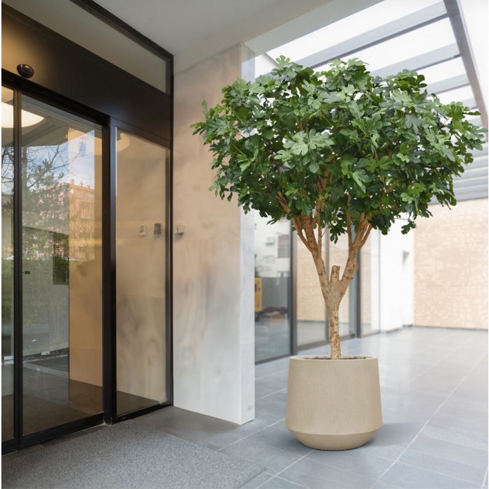 Vijgen Kunstboom Deluxe 250cm - NOVA LIGNUM