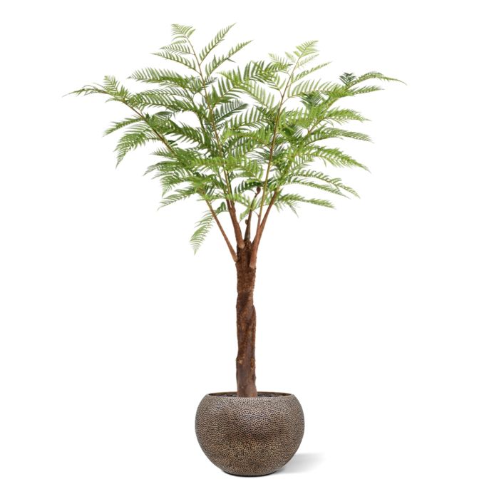 Woodwardia Kunstpalm Deluxe 220cm - NOVA LIGNUM