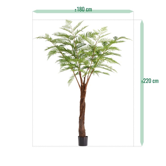Woodwardia Kunstpalm Deluxe 220cm - NOVA LIGNUM