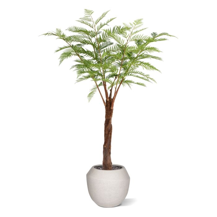 Woodwardia Kunstpalm Deluxe 220cm - NOVA LIGNUM