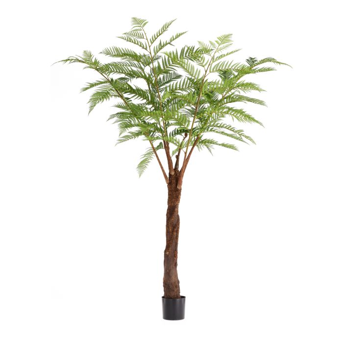 Woodwardia Kunstpalm Deluxe 220cm - NOVA LIGNUM