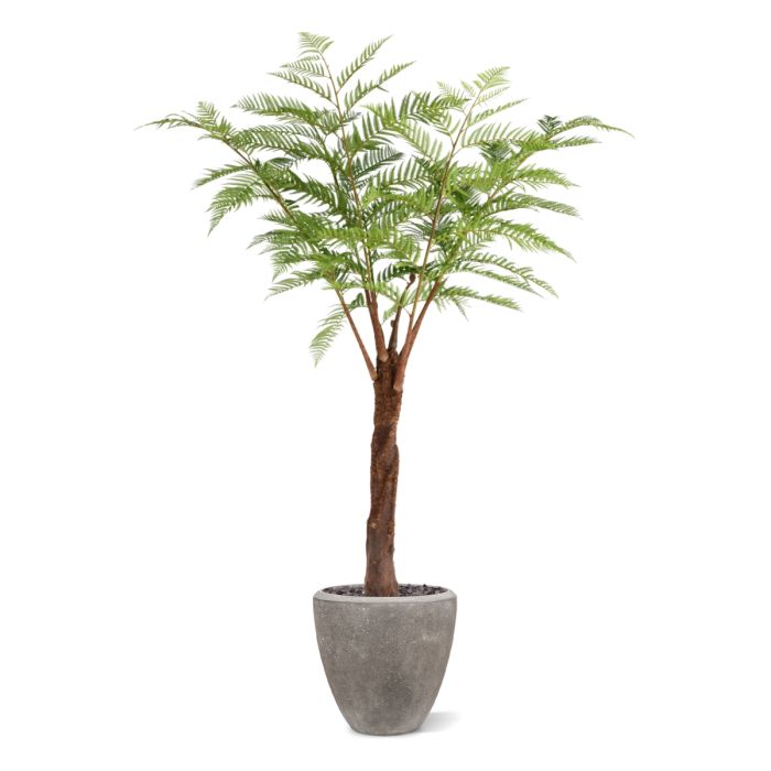 Woodwardia Kunstpalm Deluxe 220cm - NOVA LIGNUM