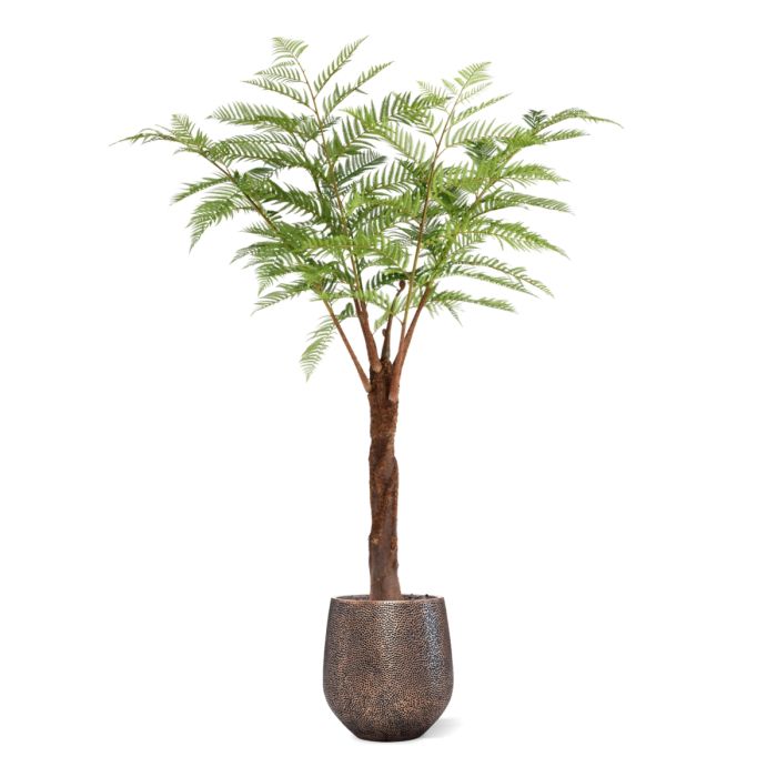Woodwardia Kunstpalm Deluxe 220cm - NOVA LIGNUM