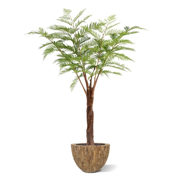 Woodwardia Kunstpalm Deluxe 220cm - NOVA LIGNUM